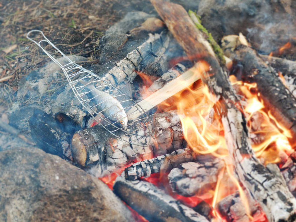 bbq gray fish on burning woods at daytime